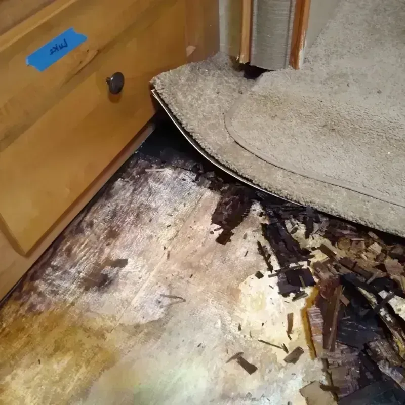 Best Wood Floor Water Damage Service in Punta Gorda Isles, FL